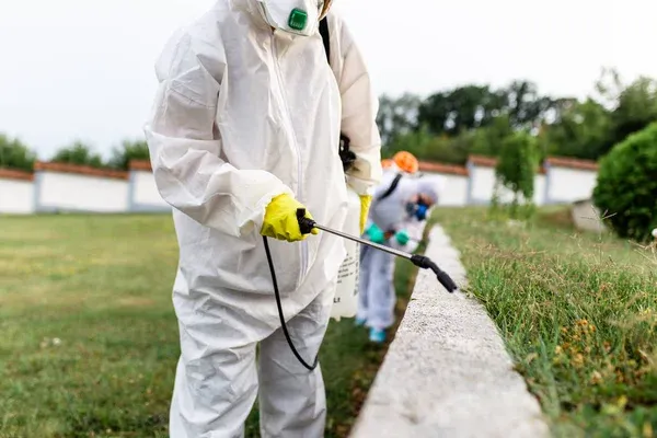 Pest Control Aldersyde