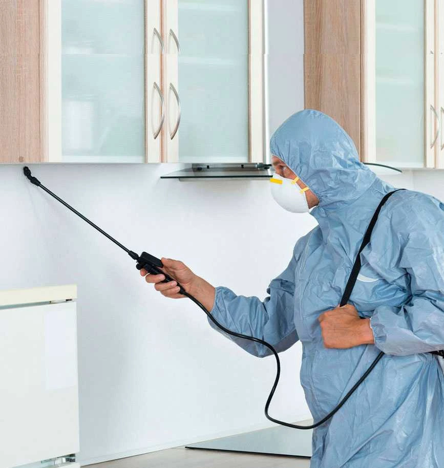 Pest Control Diamond Valley