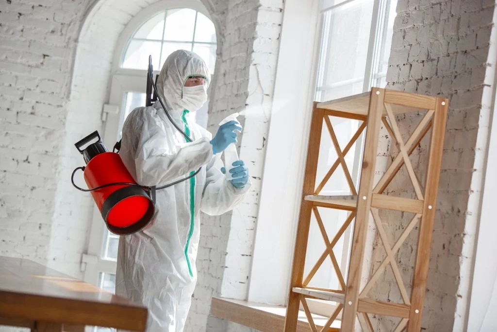 Pest Control Devon