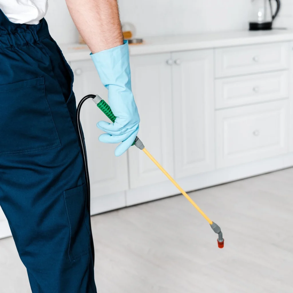 Pest Control De Winton