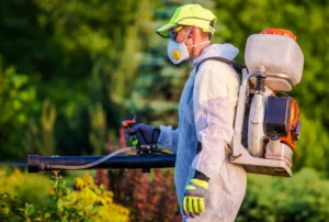 Pest Control Services Near Me