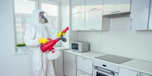 Pest Control Edmonton