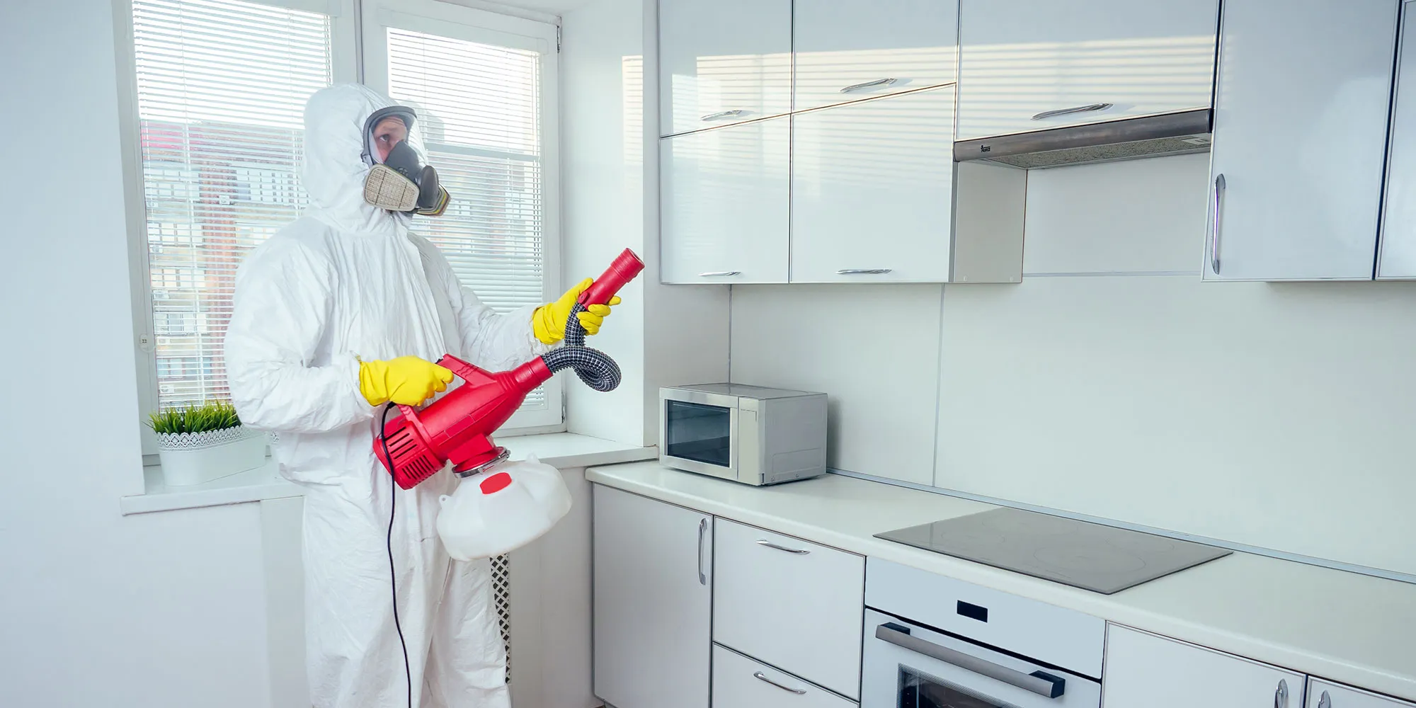 Pest Control Edmonton