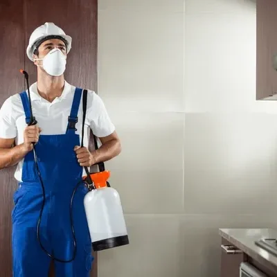 Pest Control Bearspaw